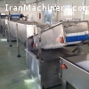 خطوط شستشو و ضد عفونی پیوسته و بچ